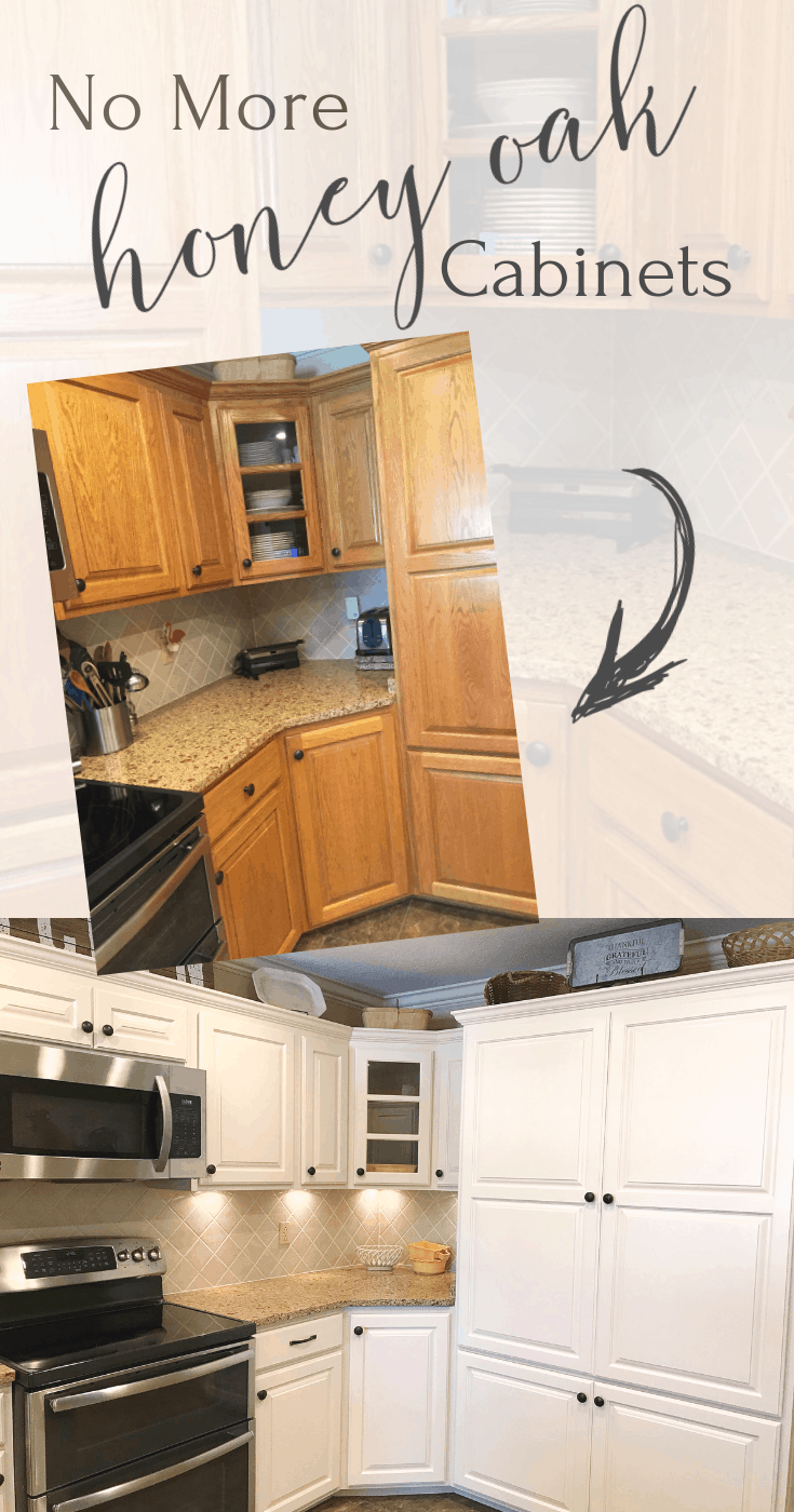 Say bye bye to those honey oak kitchen cabinets you hate so much! 