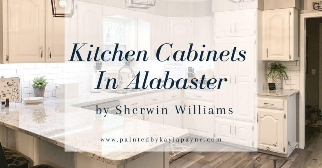 cover photos for kitchen cabinets in alabaster white 