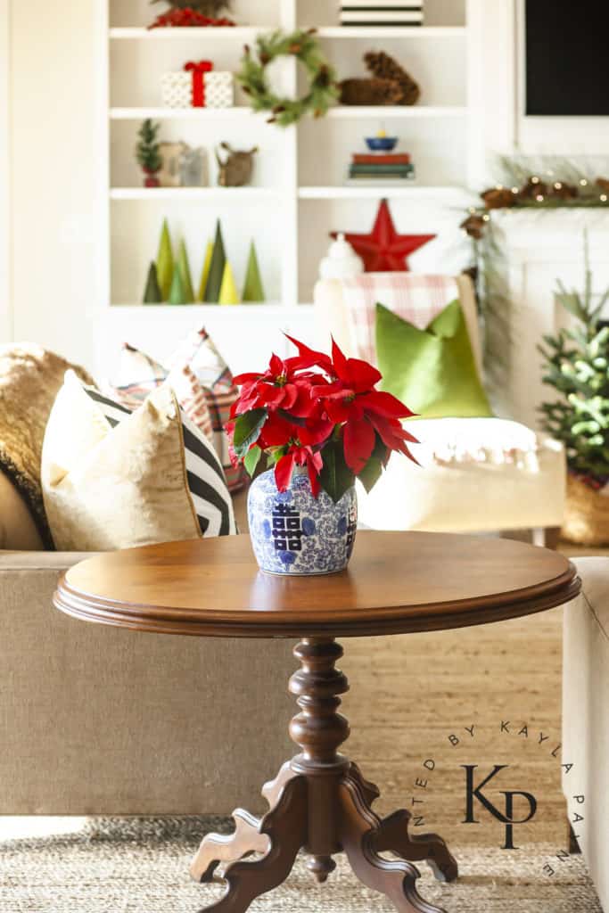 red poinsettia in blue and white ginger jar