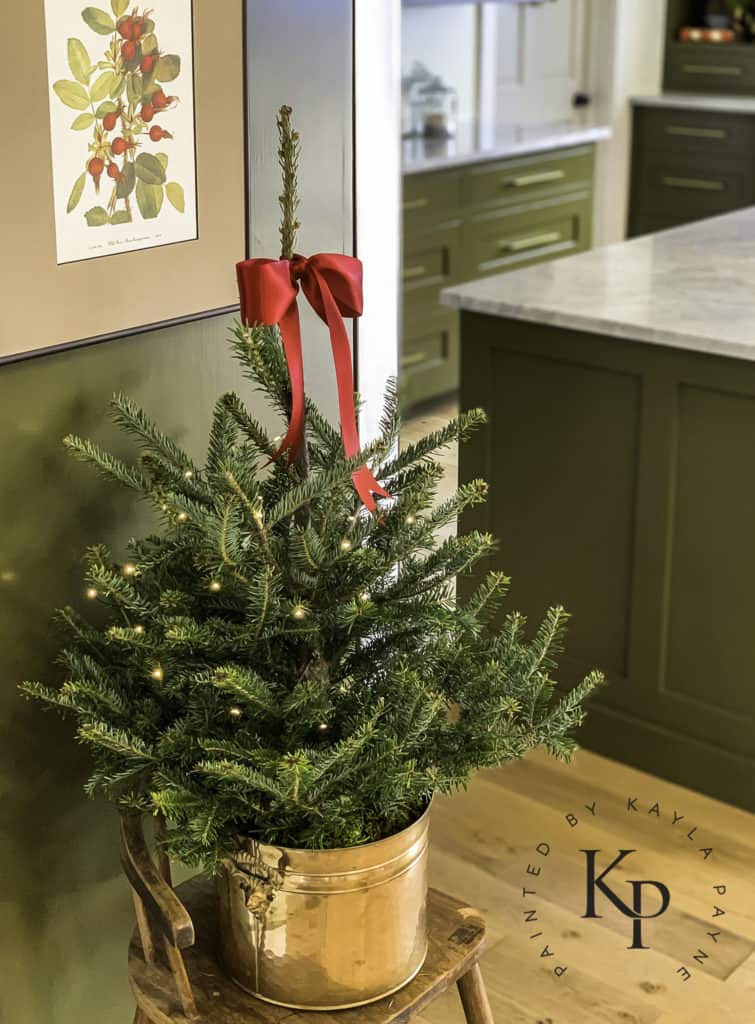 Fresh cut mini Christmas tree in vintage brass pot to decorate in the kitchen.