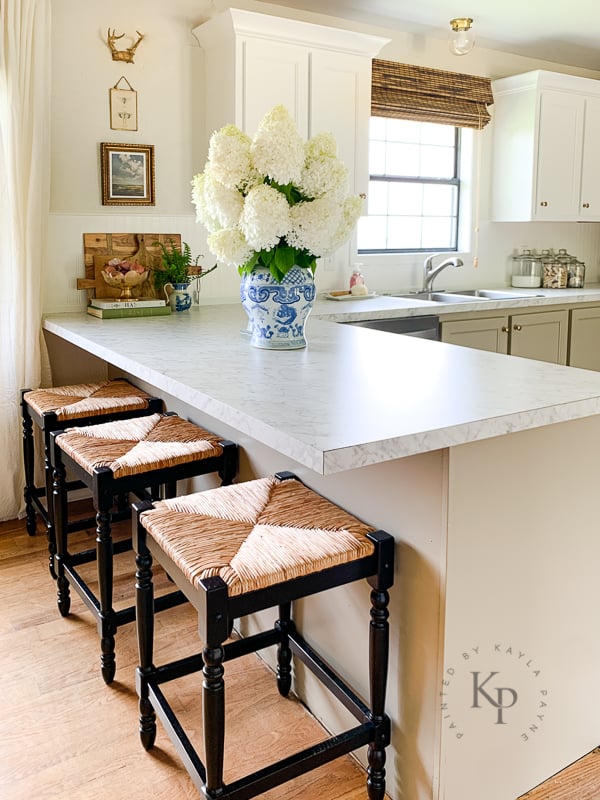 Limelight Hydrangea in blue and white vase